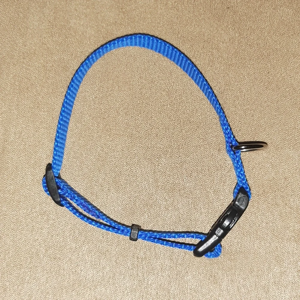 🐶🐕Top Paw-Dog Collar Small, New without Tags, Free with Purchase!